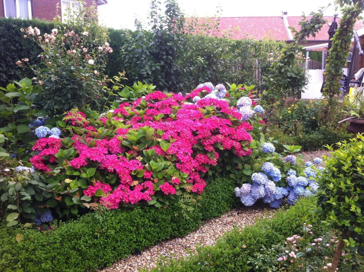 Chalet Or Apartment Nearby Roermond Outlet Stevensweert Екстериор снимка