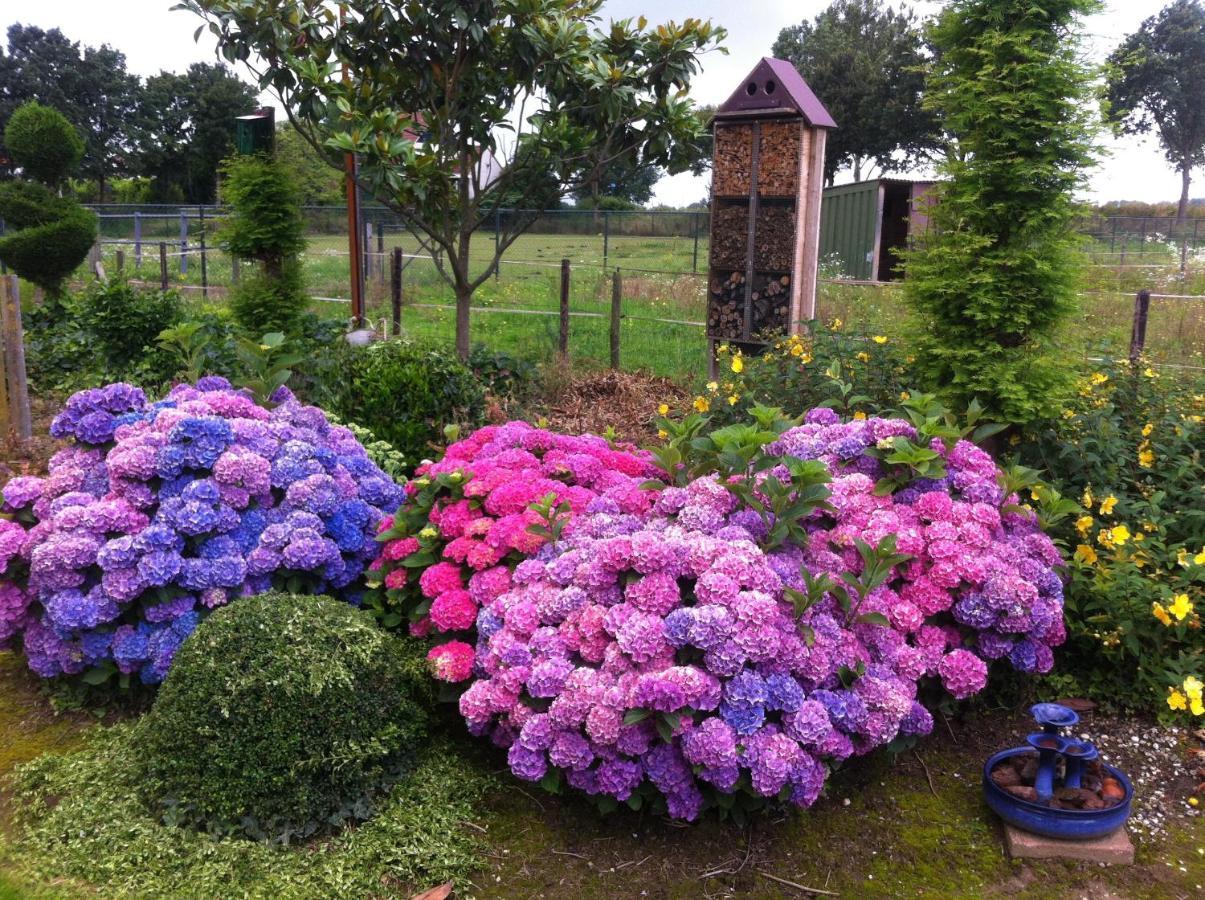 Chalet Or Apartment Nearby Roermond Outlet Stevensweert Екстериор снимка